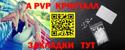 твердый Кингисепп