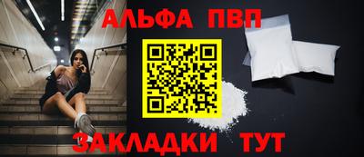 твердый Кингисепп