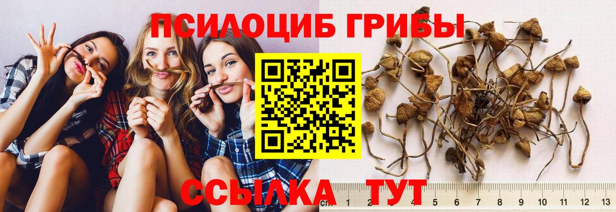 как найти   Псилоцибиновые грибы ЛСД  Псилоцибиновые грибы прущие грибы  Вход с VPN  Кохма 