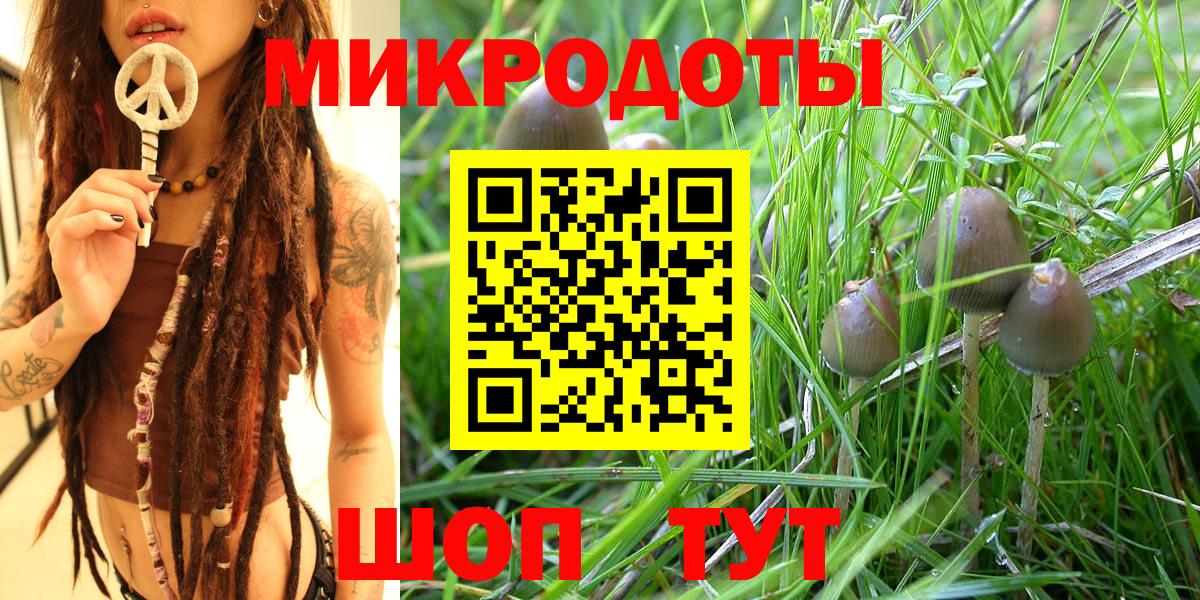 Галлюциногенные грибы Psilocybe Кохма
